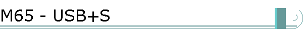 M65 - USB+S